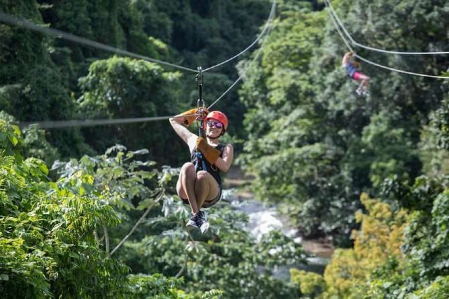 Zip Line Adventure