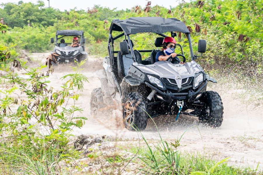 Buggies VIP Ultimate Experiencie