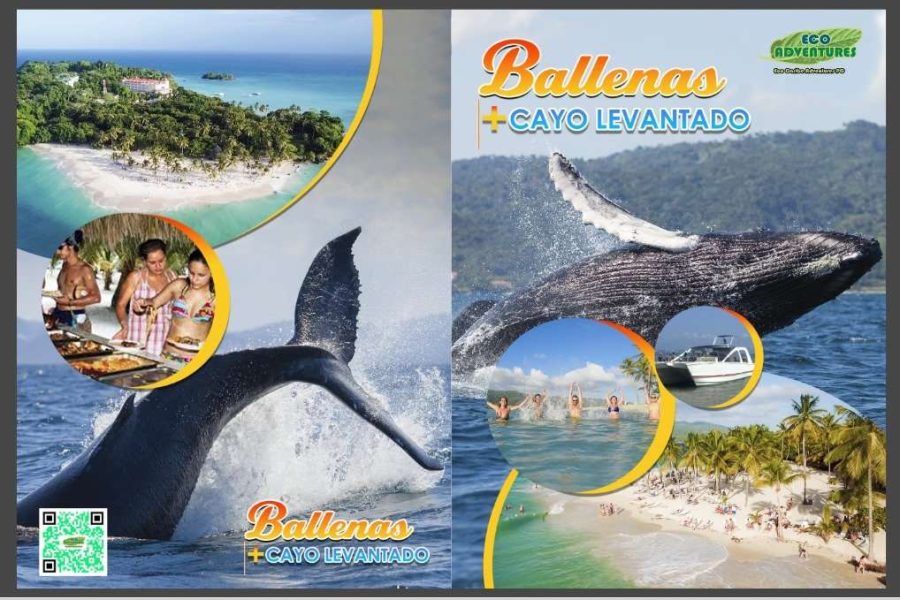 Avistamiento Ballenas + Cayo Levantado