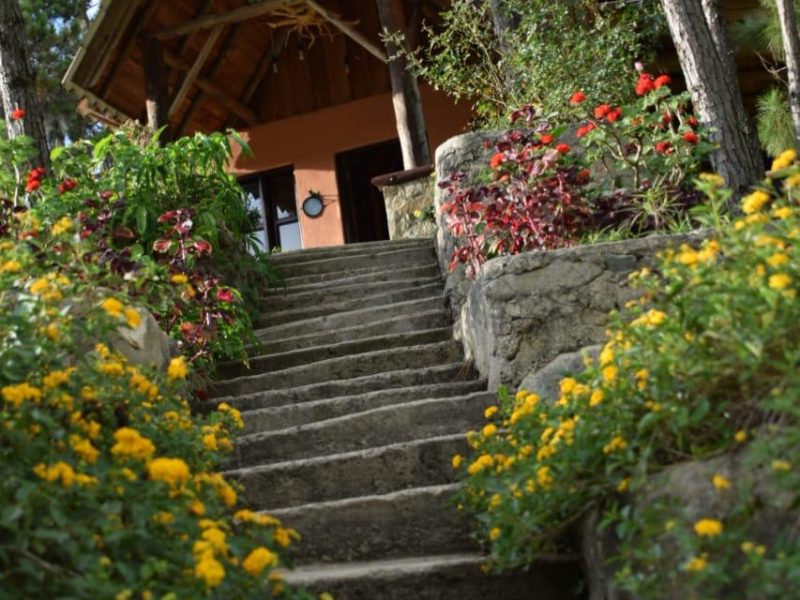 Cabaña #4